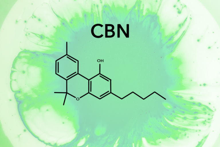 CBN Cannabis Cannabinoid