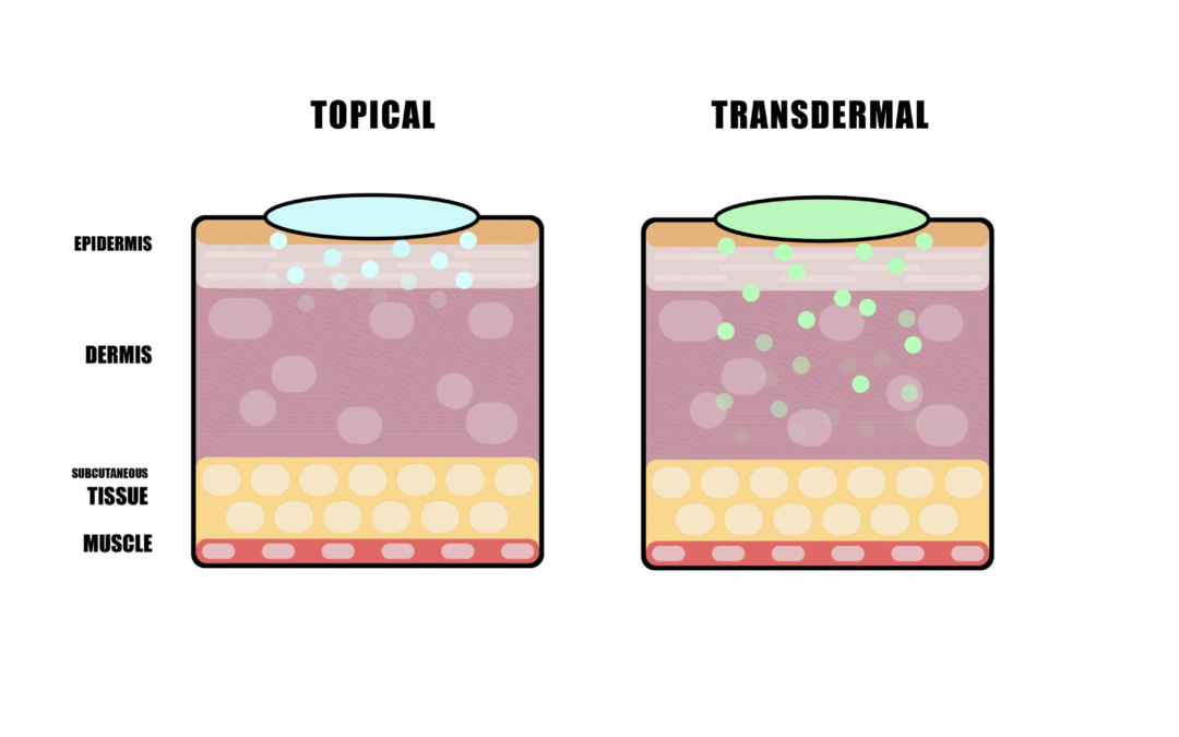 Difference Between Cannabis Topicals and Transdermals