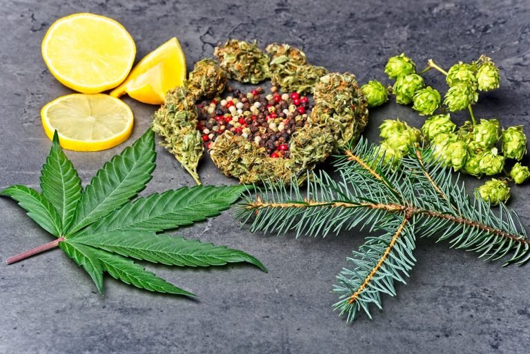 Cannabis Terpenes - Botanical Terpenes