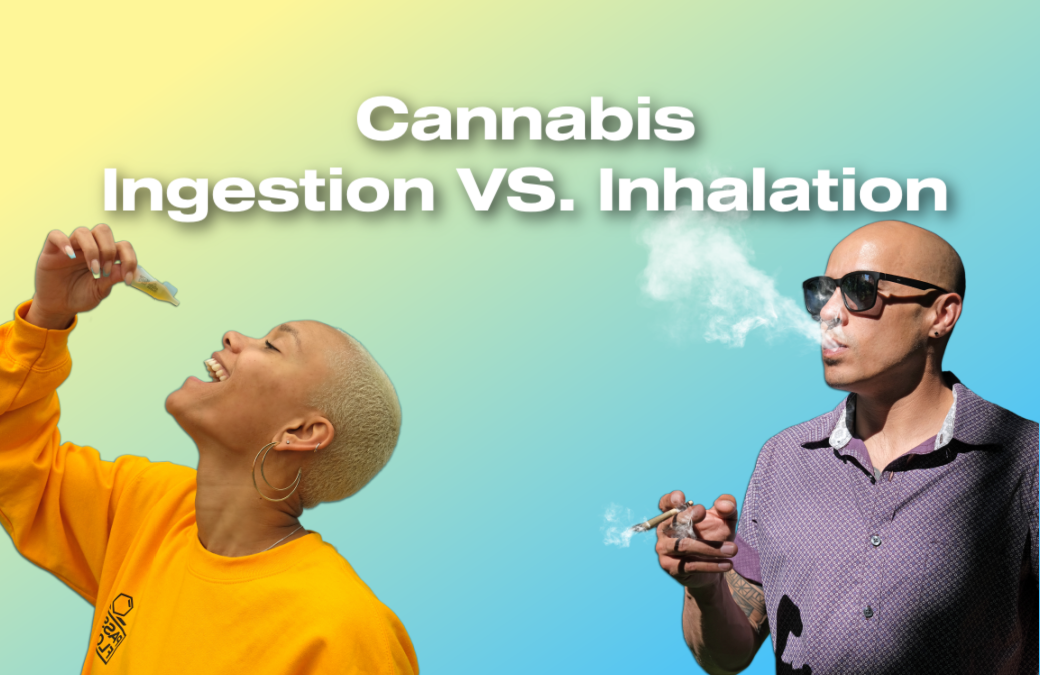 Cannabis ingestion vs inhalation