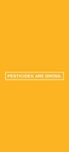 Pesticides Are Gross "Sativa Hybrid" Orange