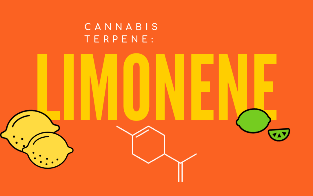 Cannabis Terpene: Limonene