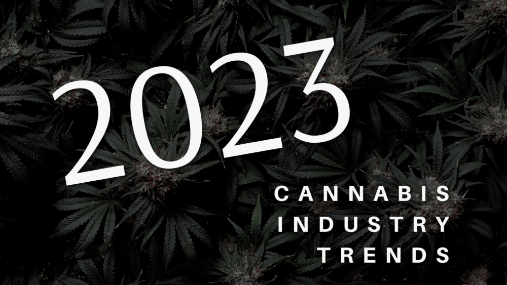 Cannabis Industry Trends for 2023