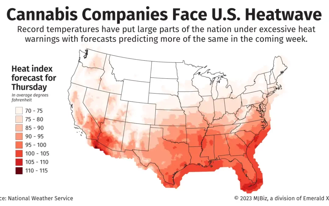 Heatwave Threatens US Cannabis Operations